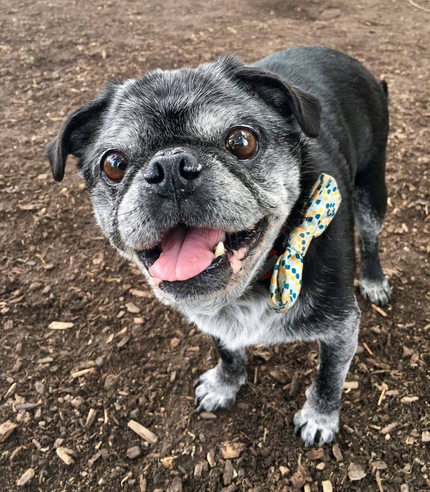 20134402_10158953442695099_1410292148_n